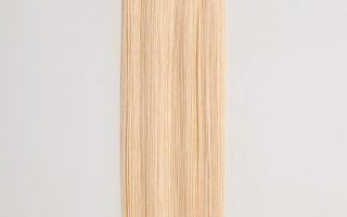 PLUS HAIR #9　50cm